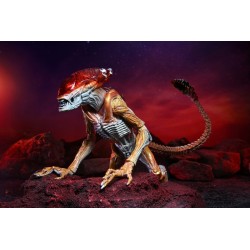 PANTHER ALIEN - KENNER TRIBUTE