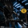 ALIEN - ONE:12