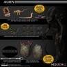 ALIEN - ONE:12