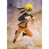 NARUTO UZUMAKI (BEST SELECTION) - SH FIGUARTS